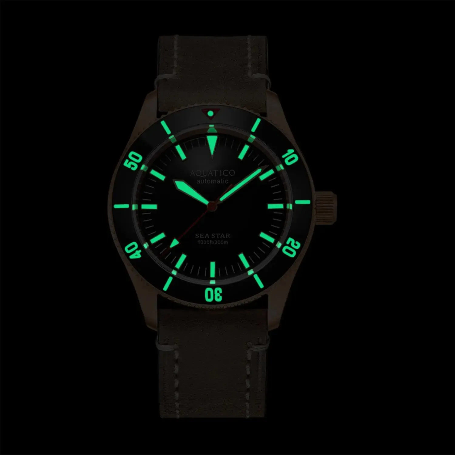 Aquatico Bronze Sea Star Black Dial Watch (NH35 No Date)