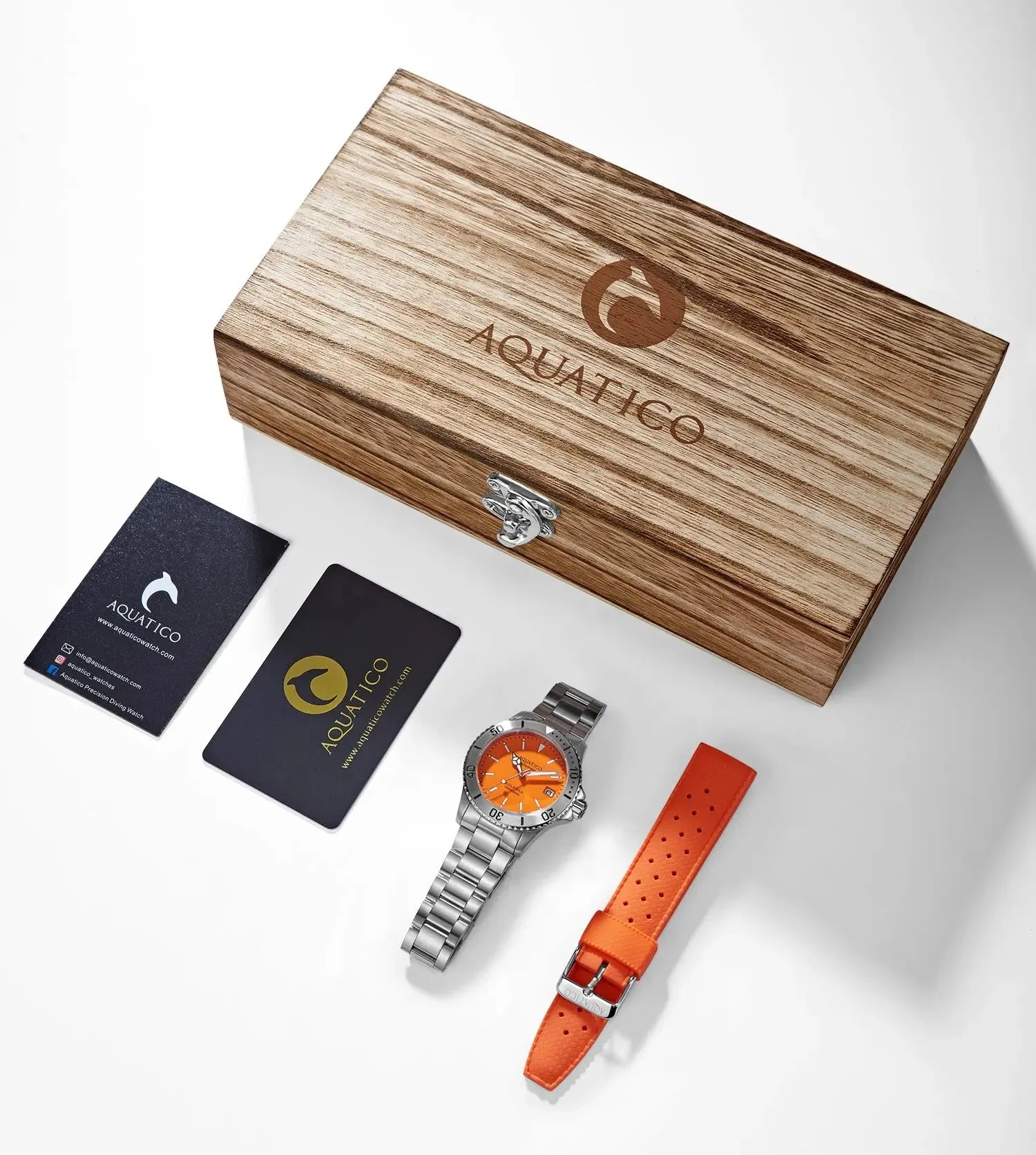 Aquatico Dolphin 38mm Orange Dial Watch