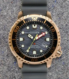 Promaster Dive Eco-Drive