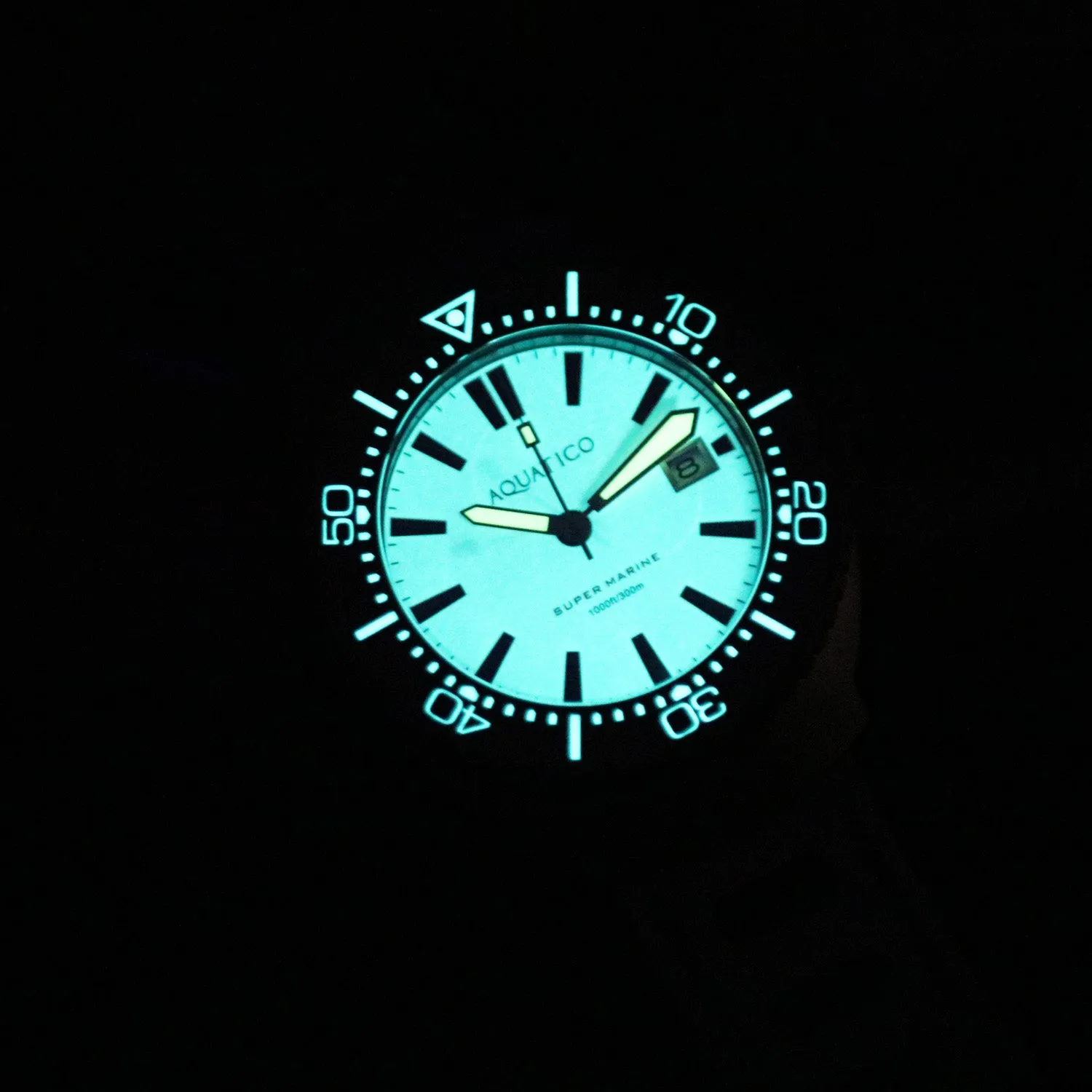 Super Marine Titanium Full Lume White Dial Forged Carbon Inlay Watch